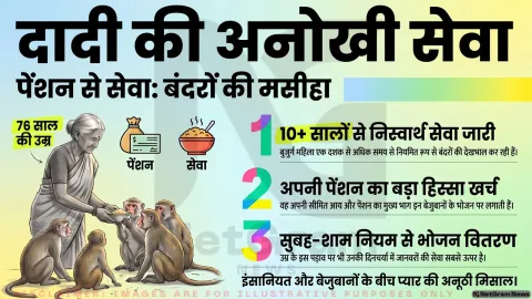 76 वर्षीय महिला की अनोखी सेवा, पेंशन से सालों से बंदरों को खिला रहीं भोजन