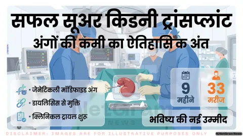 Genetically Engineered Organ Updates: युकाटन मिनिएचर पिग्स, इम्यून रिजेक्शन से बचाव और 33 मरीजों पर नए ट्रायल की रिपोर्ट