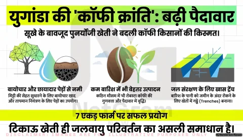 पुनर्योजी खेती से बदली तस्वीर, युगांडा के कॉफी किसानों ने सूखे के बीच बढ़ाई पैदावार
