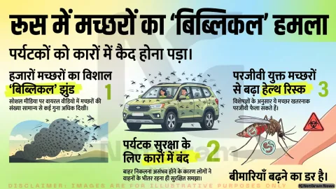 रूस में मच्छरों का विशाल झुंड बना चर्चा का विषय, पर्यटक कारों में रहने को हुए मजबूर