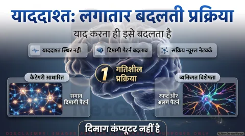 Human Memory Dynamics Alert: यादें स्थिर नहीं, हर बार रीकॉल करने पर होती हैं री-शेप; तुरंत पढ़ें न्यूरोसाइंस रिपोर्ट