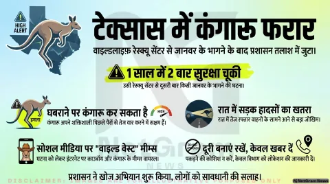 टेक्सास के वाइल्डलाइफ़ सेंटर से कंगारू फरार, तलाश में जुटा प्रशासन