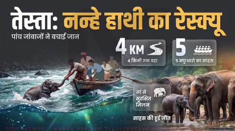 जलपाईगुड़ी में उफनती तेस्ता नदी से हाथी का बच्चा सुरक्षित निकाला; 5 मछुआरों ने पेश की मिसाल : Wildlife Rescue Alert 2026