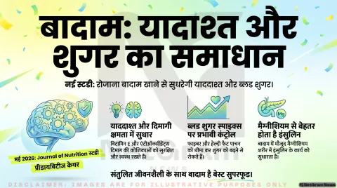 रोज बादाम खाने से याददाश्त और ब्लड शुगर दोनों को मिल सकता है फायदा, नई स्टडी में हुआ खुलासा