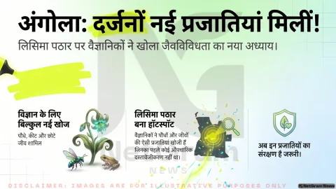 अंगोला के लिसिमा पठार में मिलीं दर्जनों नई प्रजातियां, वैज्ञानिकों ने जैव विविधता के बड़े खजाने का किया खुलासा