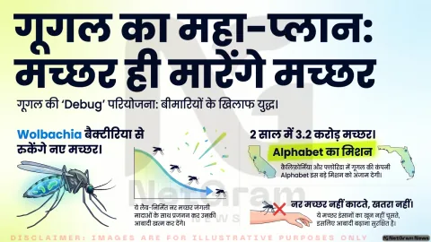 गूगल की ‘डिबग’ योजना: 3.2 करोड़ मच्छरों को छोड़कर बीमारी फैलाने वाले मच्छरों पर लगाम की तैयारी
