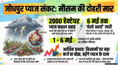 जोधपुर में आंधी, बारिश और ओलावृष्टि का डबल अटैक – 2000 हेक्टेयर प्याज फसल तबाह, किसानों और आम जनता पर बड़ा असर
