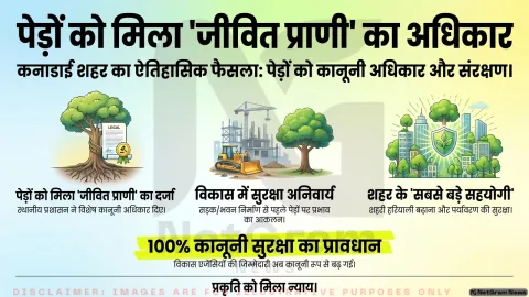 कनाडा के छोटे शहर ने पेड़ों को दिए कानूनी अधिकार, ‘जीवित प्राणी’ के रूप में मिला संरक्षण