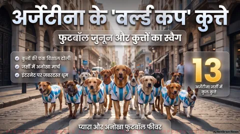 Argentina Fan Dogs Alert: 13 कुत्तों ने पहनी नेशनल जर्सी; तुरंत देखें सोशल मीडिया पर वायरल वीडियो की रिपोर्ट