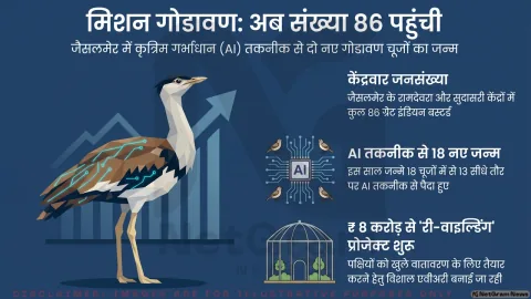 जैसलमेर में कृत्रिम गर्भाधान से जन्मे दो नए गोडावण चूज़े, संरक्षण केंद्रों में संख्या बढ़कर 86 हुई