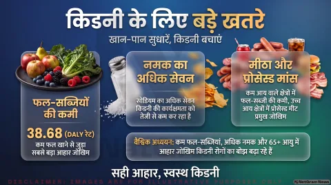 Kidney Diet Health Alert: कम फल-सब्जी और ज्यादा नमक से बढ़ा CKD का खतरा; तुरंत पढ़ें GBD 2021 की विस्तृत रिसर्च