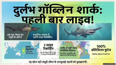 दुर्लभ गॉब्लिन शार्क पहली बार प्राकृतिक आवास में कैमरे में कैद, गहरे समुद्र की दुनिया पर नई रोशनी