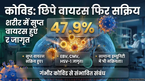 Covid-19 Viral Reactivation Alert: 1,154 मरीजों पर स्टडी; तुरंत पढ़ें हर्पीस और ईबीवी वायरस के दोबारा सक्रिय होने का सच
