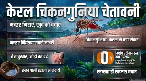 Kerala Alert: मानसून में तेजी से बढ़ रहे मामले; तुरंत पढ़ें लक्षणों की पहचान और बचाव की पूरी गाइड