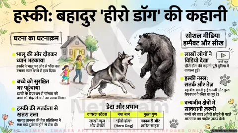 Husky Saves Child From Bear Alert: वायरल वीडियो में दिखा हस्की की बहादुरी का कारनामा; तुरंत पढ़ें कैसे टला बड़ा हादसा